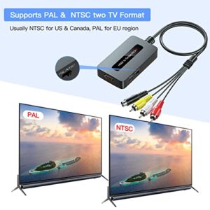 Sedytetoc HDMI to Svideo RCA Converter with HDMI Cable(RCA and Svideo Cables Integrated), HDMI to Composite AV Converter for HDMI Device to Display on Older TVs