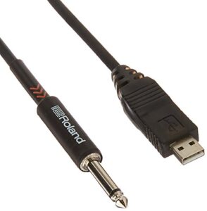 roland rcc-10-us14 black series interconnect usb to 1/4-inch 10ft cable, 10 feet (rcc10us14)