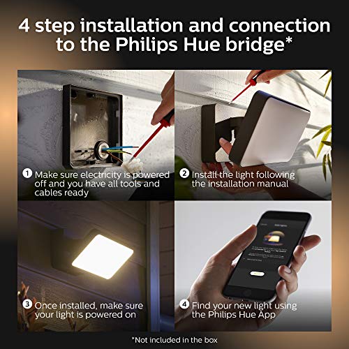 Philips Hue Discover Outdoor White & Color Ambiance Smart Floodlight (Hue Hub Required, Smart Light Works with Alexa, Apple Homekit and Google Assistant)