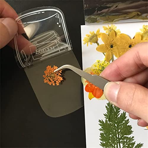 KKNC Dried Flower Bookmarks, Dried Flower Bookmarks Craft, 30 Pieces Transparent Dried Flower Bookmarks (30 PCS Bookmarks)