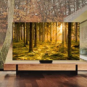 SAMSUNG 85-Inch Class Neo QLED 8K QN900B Series Mini LED Quantum HDR 64x, Infinity Screen, Dolby Atmos, Object Tracking Sound Pro, Smart TV with Alexa Built-In (QN85QN900BFXZA, 2022 Model)