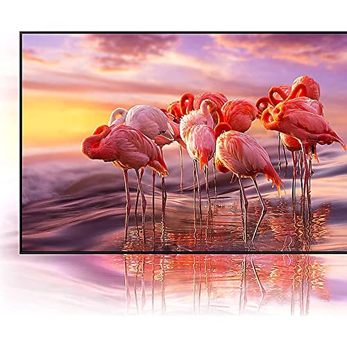 SAMSUNG QN75QN800B 75 Inch QN800B Neo QLED 8K Smart TV 2022 Bundle with Premium 2 YR CPS Enhanced Protection Pack