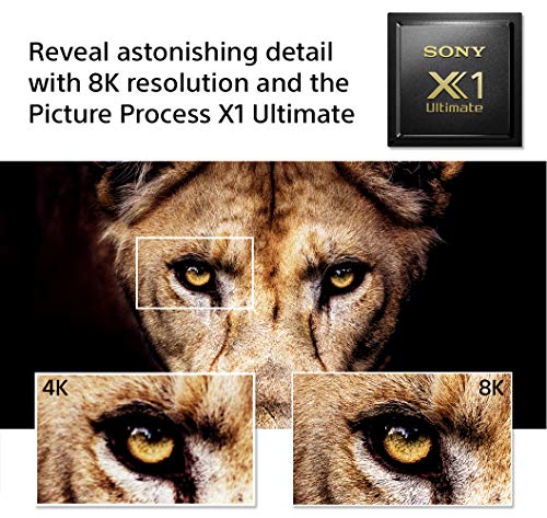 Sony Z8H 75 Inch TV: 8K Ultra HD Smart LED TV with HDR and Alexa Compatibility - 2020 Model