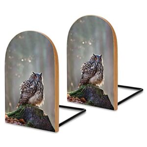 nudquio eurasian eagle owl wooden shelves bookends desktop book stand book ends books holder for library school home office study bedroom decoration（logs）, one size