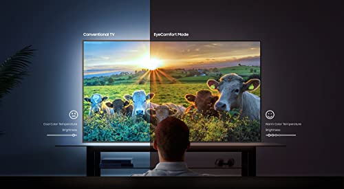 SAMSUNG QN65QN800BFXZA 65" 8K QLED Quantum Mini LED HDR Smart TV with a Walts TV Medium Full Motion Mount for 32"-65" Compatible TV's (2022)