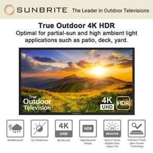 SunBrite 43-Inch Outdoor Television 4K with HDR - Signature 2 Series - for Partial Sun SB-S2-43-4K-BL (43-inch, Black)