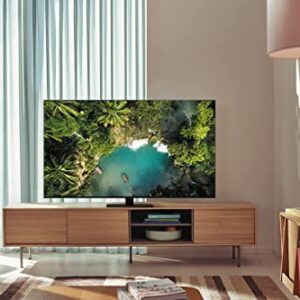 Samsung 55-Inch Class QLED 4K UHD Q80B Series Direct Full Array Quantum HDR 12x Smart TV 2022 QN55Q80BAF Includes Free 2 Year , (QN55Q80BAFXZA)