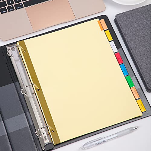 Amazon Basics 8 Tab Dividers for 3 Ring Binder, Insertable Tab, Multicolor, 4-Pack