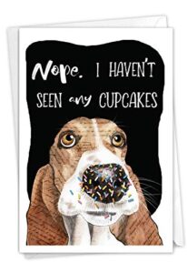nobleworks – 1 funny animal birthday card with envelope – cute card for birthdays – dog antics sprinkle nose c3639abdg
