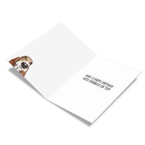 NobleWorks - 1 Funny Animal Birthday Card with Envelope - Cute Card for Birthdays - Dog Antics Sprinkle Nose C3639ABDG