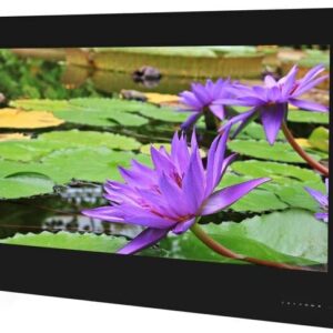 AVEL Waterproof TV for Bathroom/Shower/Kitchen/Living Room Android Smart TV (Black Frame, 43'')