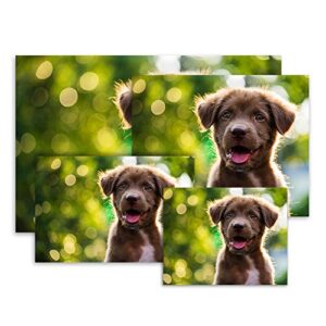 Photo Prints – Luster – Large Size (11x14)
