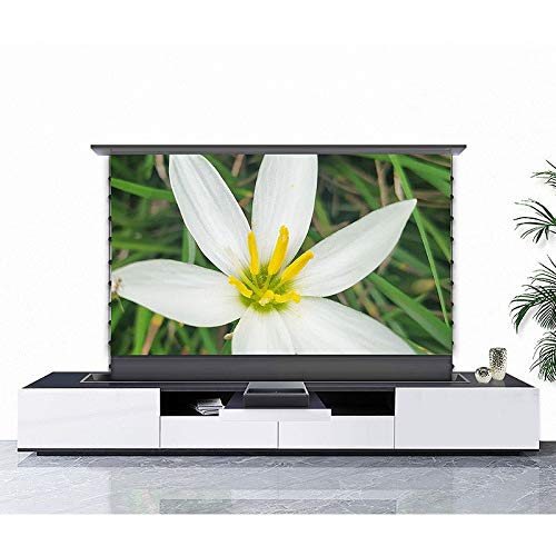 LIRUXUN 92 inch 16:9 Floor Rising Electric Anti Light Motorized Projection Screen for Short Throw Projector