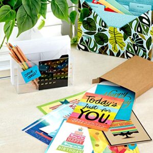 Hallmark Birthday Cards Assortment, 12 Cards with Envelopes (Premium Refill Pack for Hallmark Card Organizer Box)