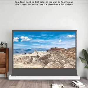 VIVIDSTORM-Projector Screen,Long Focus Ambient Light Rejecting Screen,White Housing Motorized Floor-Rising Projection Screen,Compatible with Lumen up to 2500ANSI of Normally Projector,VWSDSTALR84H