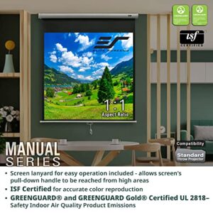 Elite Screens Manual Series, 80-INCH Pull Down Manual Projector Screen with AUTO LOCK, Movie Home Theater 8K / 4K Ultra HD 3D Ready, 2-YEAR WARRANTY, M80UWH, 16:9, Black