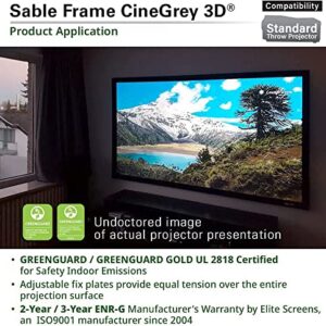 Elite Screens Sable Frame CineGrey 3D, 120-inch Diagonal 16:9, 8K 4K Ultra HD Ready Ceiling and Ambient Light Rejecting Fixed Frame Projector Screen, CineGrey 3D Projection Material, ER120DHD3