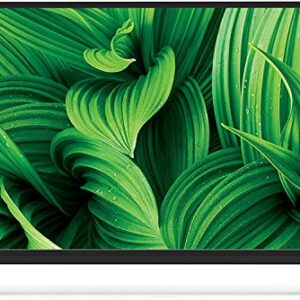 VIZIO 32" Class HD (720P) LED TV (D32hn-E4)