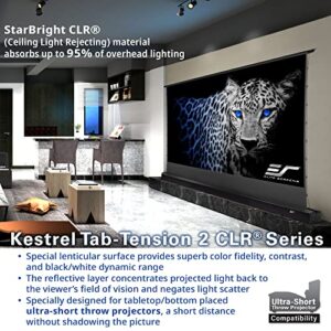 Elite Screens Kestrel Tab-Tension CLR, 121" Diag. 16:9, Ultra-Short Throw Ceiling Ambient Light Rejecting (CLR®/ALR) Electric Floor-Rising Projector Screen,Black Casing, FTE121UH2-CLR