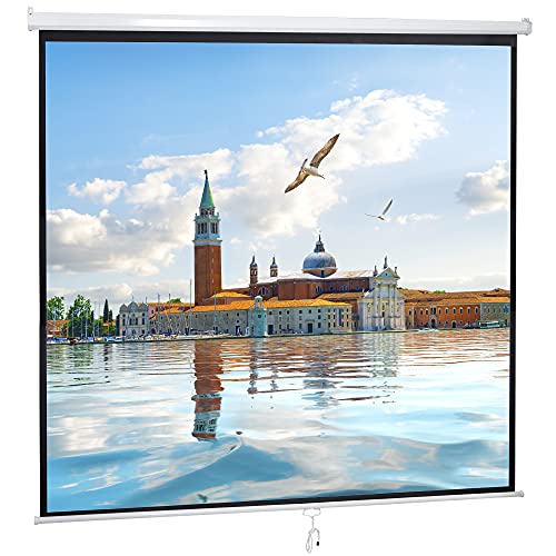 119" Projector Screen Manual Pull Down, Outdoor Movie Screen, 1:1 4K HD Wrinkle-Free Portable Projection Screen for Movie Home Office Presentation Video Game, Enjoy Outdoor Film Night, Easy to Set Up