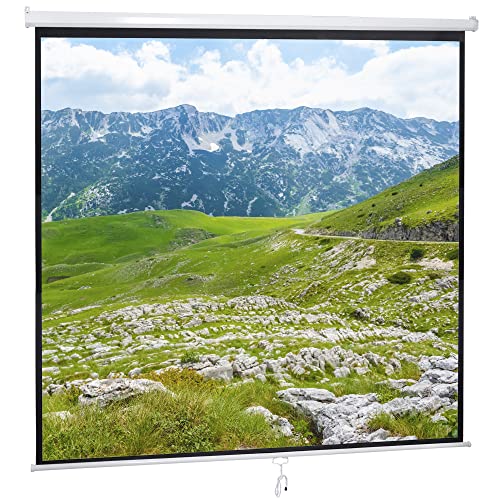 119" Projector Screen Manual Pull Down, Outdoor Movie Screen, 1:1 4K HD Wrinkle-Free Portable Projection Screen for Movie Home Office Presentation Video Game, Enjoy Outdoor Film Night, Easy to Set Up