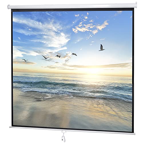 119" Projector Screen Manual Pull Down, Outdoor Movie Screen, 1:1 4K HD Wrinkle-Free Portable Projection Screen for Movie Home Office Presentation Video Game, Enjoy Outdoor Film Night, Easy to Set Up