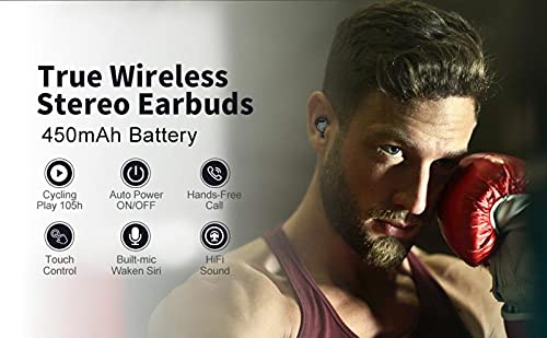 L LINPA WORLD Wireless Earbuds Super Portable True Wireless Stereo Headphones in Ear Deep Bass Built in Mic IPX6 Waterproof with Charging Case (Only 50g) 40H Playtime for Workout Running (Dark Gray)