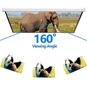 ZENY Portable Projector Screen Manual Pull Down 120 Inch 1:1 Hanging Projection Screen 4K Indoor Outdoor Movies Screen for Home Theater Office Video Game