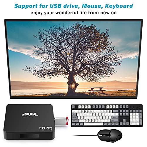 4K@60hz MP4 Media Player Support 8TB HDD/ 256G USB Drive/SD Card with HDMI/AV Out for HDTV/PPT MKV AVI MP4 H.265-Support Advertising Subtitles/Timing, Networkable, Mouse&Keyboard Control