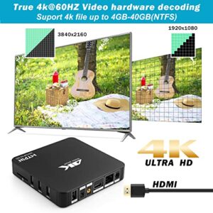 4K@60hz MP4 Media Player Support 8TB HDD/ 256G USB Drive/SD Card with HDMI/AV Out for HDTV/PPT MKV AVI MP4 H.265-Support Advertising Subtitles/Timing, Networkable, Mouse&Keyboard Control