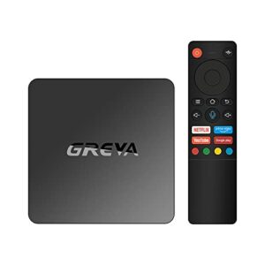greva android 11 tv box 2gb ram 16gb rom support dual band wifi 2.4g/5g voice remote control bt 5.0 4k hdr smart streaming media player