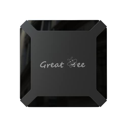 GREATBEE Arabic TV Box, One-time Payment Free for Life, Stream 4K Chromecast Android Smart TV Boxes (GB001)