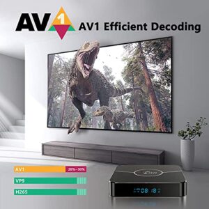 X98 5G Android 11 TV Box, 4K HDR Media Player Support 2.4G/5G Dual WiFi BT5.0 3D AV1 with Voice Air Mouse Remote