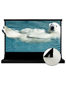 vividstorm since 2004-projector screen,pearlescent cinema white plus screen,black housing motorized floor-rising projection screen,vsdstzw72h