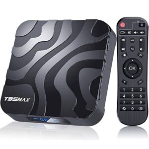 android 12 tv box android box h618 chip quad-core cpu with 2gb ram 16gb rom supports 3d 4k6k h.265 dual-wifi 2.4g/5.0ghz ethernet100m bluetooth4.0 usb2.0 mini smart tv box t95max android boxes