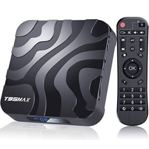 Android 12 TV Box Android Box H618 Chip Quad-core CPU with 2GB RAM 16GB ROM Supports 3D 4K6K H.265 Dual-WiFi 2.4G/5.0GHz Ethernet100M Bluetooth4.0 USB2.0 Mini Smart TV Box T95MAX Android Boxes