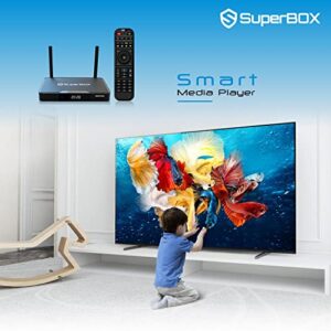 Authorized Seller 2023 Newest Super Box S3 PRO TV Box with Voice Remote，Detailed Install Instructions (2GB RAM + 32GB ROM)