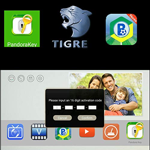 IPTV BRTV Brazil Tigre Box Renew Code One Year of TV Movies Channel Service Privileges Compatible with Tigre 2 3 4 / TG 3 4 TG Stick