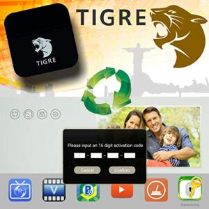 IPTV BRTV Brazil Tigre Box Renew Code One Year of TV Movies Channel Service Privileges Compatible with Tigre 2 3 4 / TG 3 4 TG Stick