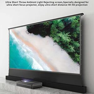 Vivid Storm Since 2004-Projector Screen S PRO 120 inch Screen with Stand Floor UST Ambient Light Rejecting,Compatible for 4K Ultra Short Throw Laser Projector,VSDSTUST120H