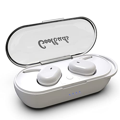 Coolbuds TruFit Lightweight True Wireless Earbuds with Charging Case | Ear Buds Wireless Bluetooth Earbuds | BT 5.0 Earbud & in Ear Headphones | Music Controls, Call Functions, 16-HR Batt (White)