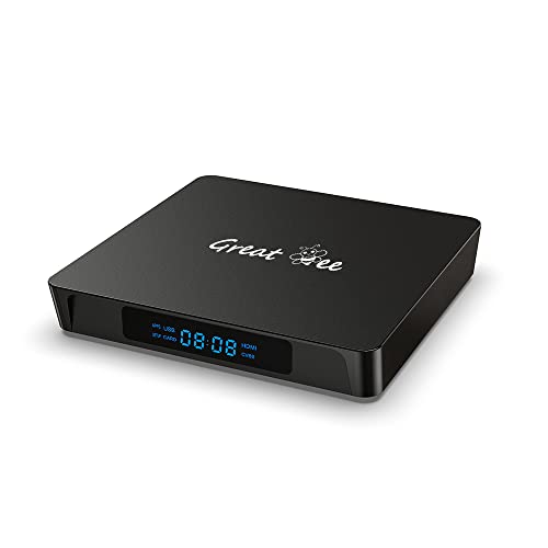 Great Bee One Year Android 10 Arabic 4K TV Box for IPTV with Google YouTube and Chromecast