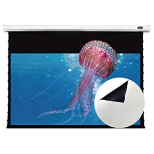 VIVIDSTORM-Deluxe Tensioned Screen,Electric Tab-tensioned Drop Down with White Cinema Screen,White Housing Ceiling and Wall,Compatible with Normal Projector,V6JLW120H