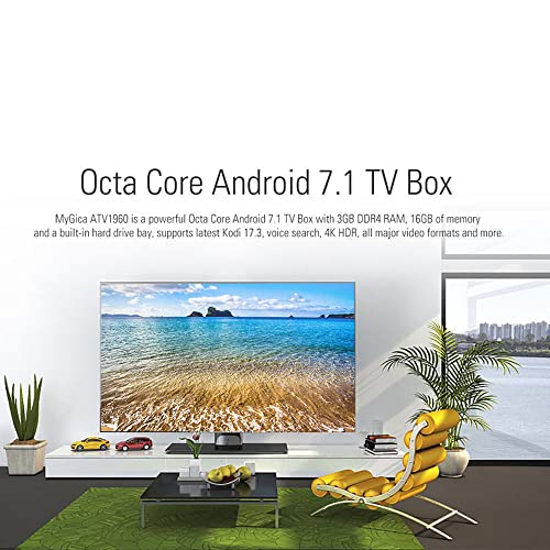 MyGica ATV1960 Octa Core Android Smart TV Box,4K HD Streaming Media Player Box 3GB/16GB/4K/HDR/1000M LAN/Internal