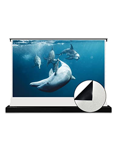 VIVIDSTORM-Projector Screen with Stand Portable Folding Stand Indoor Tension Floor Screen 4k HD All White Cinema, 4K/3D/UHD Gaming/Home Cinema,Compatible with Normally Projector,VSDSTWA84H