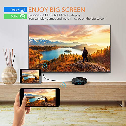 Sofobod HK1 MAX Android 10.0 TV Box 4GB RAM 32GB ROM 2.4G/5G Dual WiFi H.265/HDR/4K Decoding Set top Box:HK1 Max 4+32