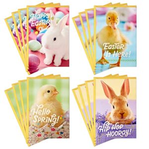 hallmark easter cards assortment, bunnies and chicks (16 cards with envelopes)