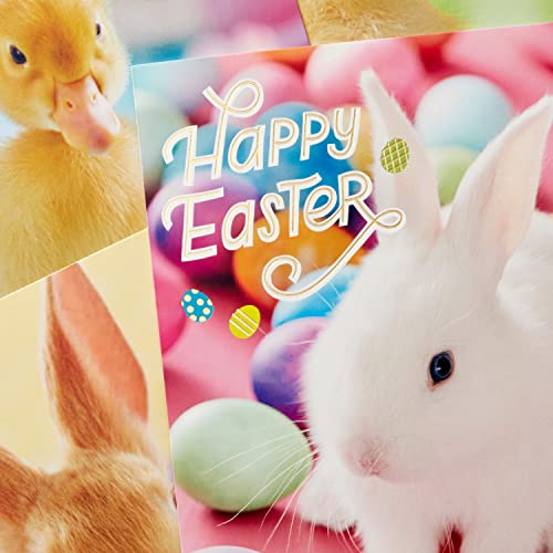 Hallmark Easter Cards Assortment, Bunnies and Chicks (16 Cards with Envelopes)