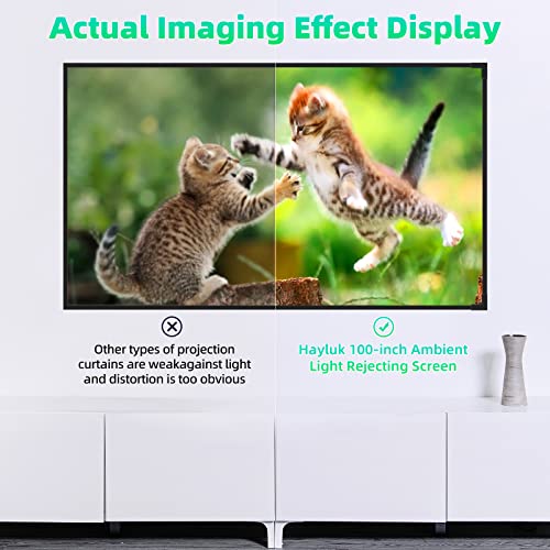 Hayluk 100-inch Projector Screen,4k HD Ambient Light Rejection(ALR) Projection Screen,16:9 Ust Ultra Short Throw Movies Screen,Indoor Video Home Theater,Edge Free Fixed Frame Screen