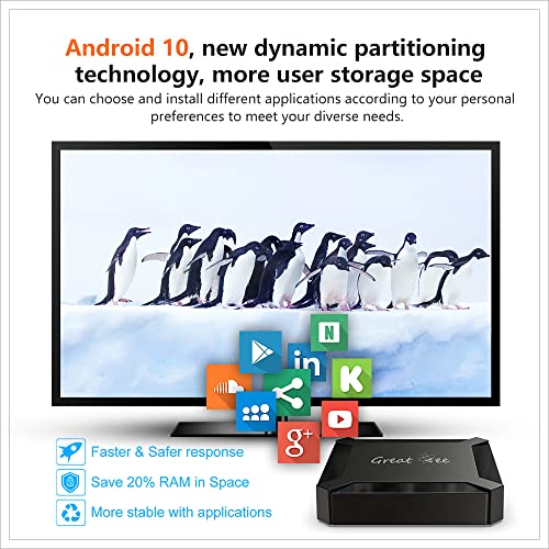 Great Bee Best Arabic TV for IPTV Free for Life Android 10.0 Arab Set-top Boxes Quad Core 1G 8G Smart TV Boxأفضل صندوق تلفزيون عربي